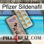 Pfizer Sildenafil 41